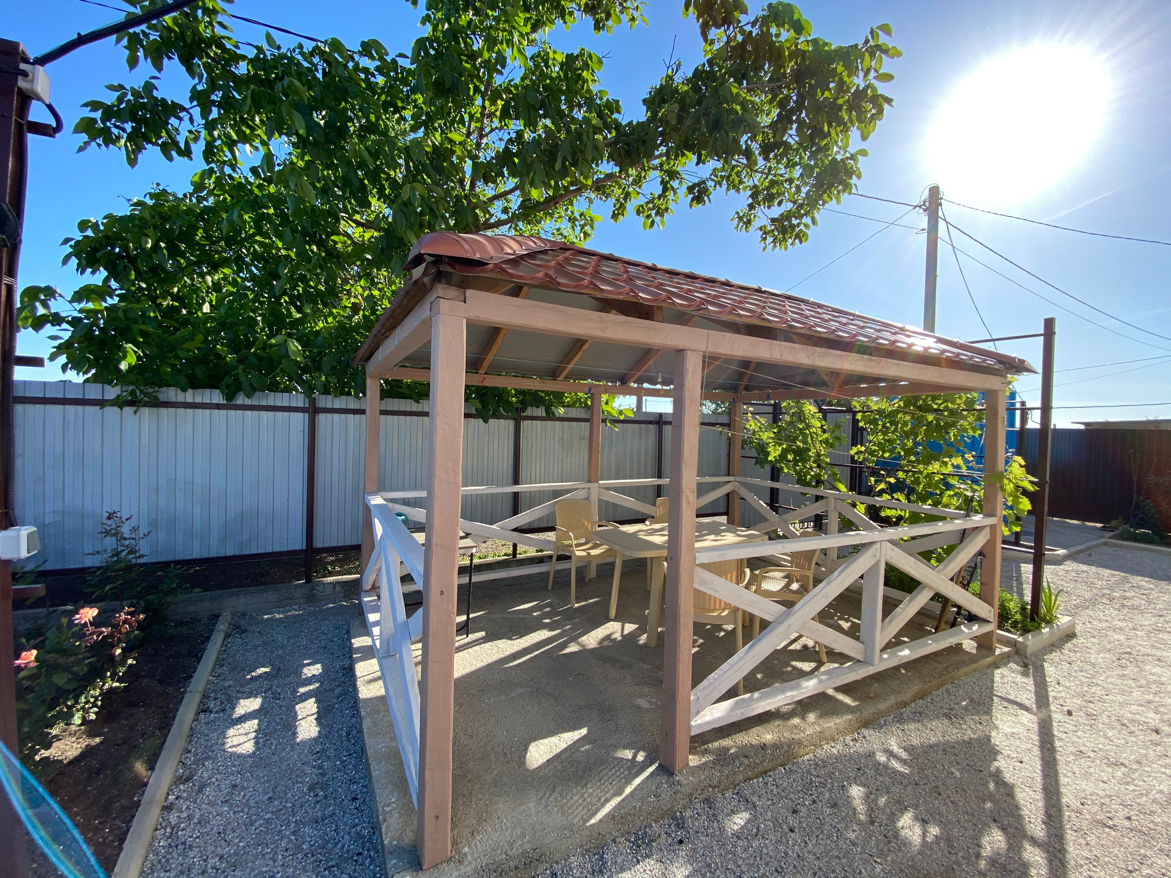 Фото 38 Попугаев