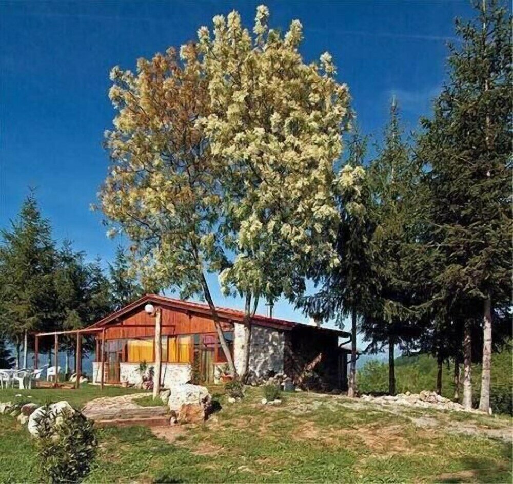 Фото Agriturismo Summer