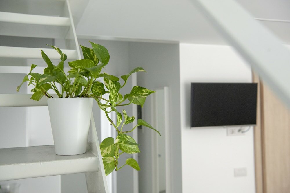 Фото Ortiquattro