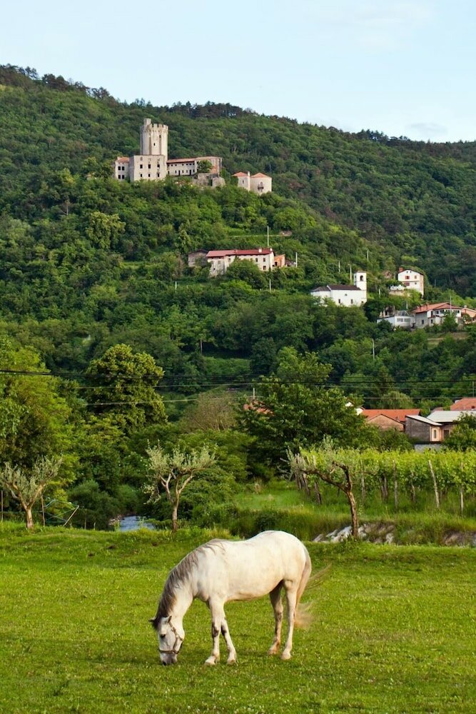 Фото Guesthouse Ošterija
