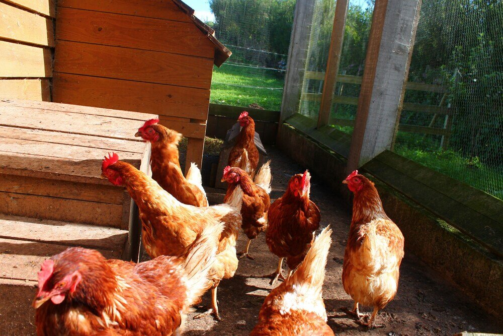 Фото Casas D'Arramada - Rural Tourism