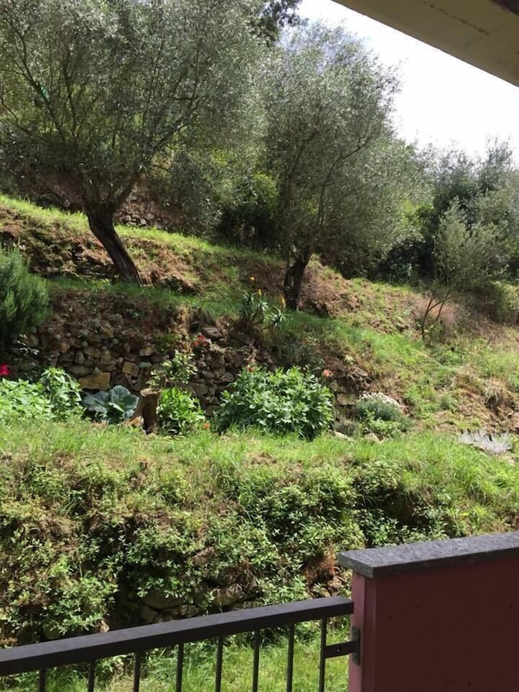 Фото Il Capriolo Bed&Breakfast