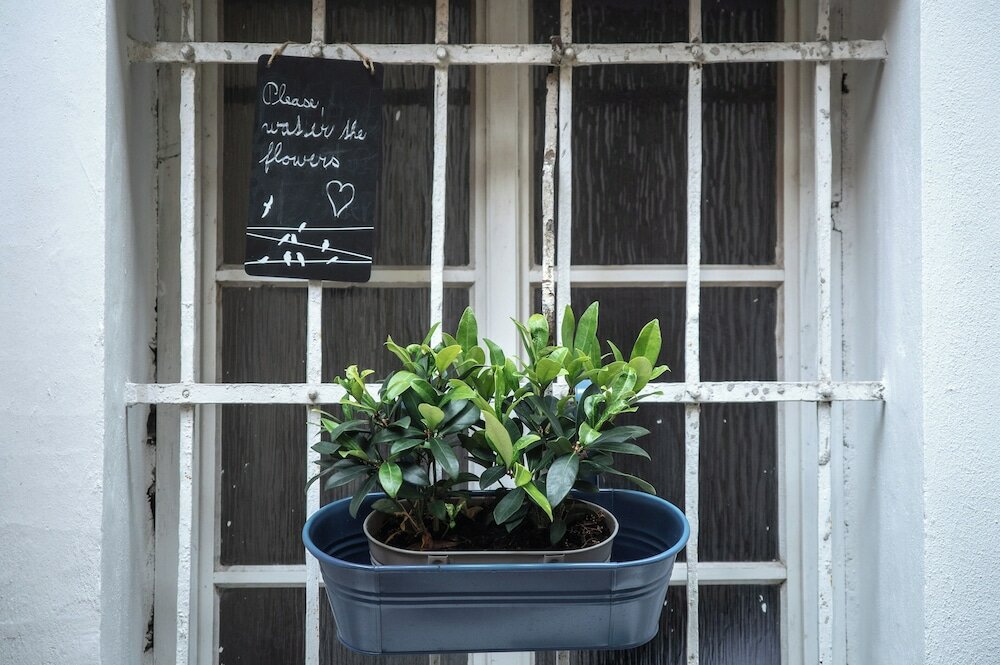 Фото Charles Bridge Hostel & Apartments