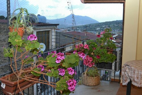 Гостиница Jolly House Bolognetta
