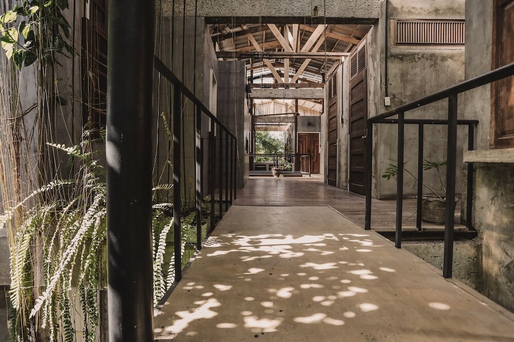 Фото The Flying Fish Hostel