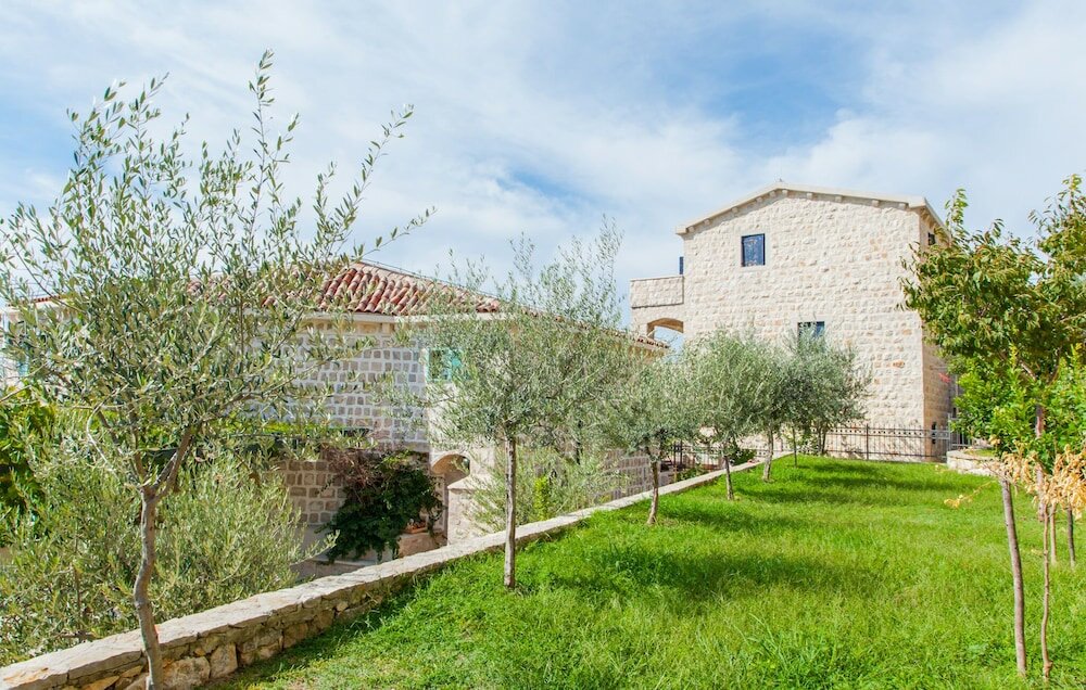 Фото Olive Resort