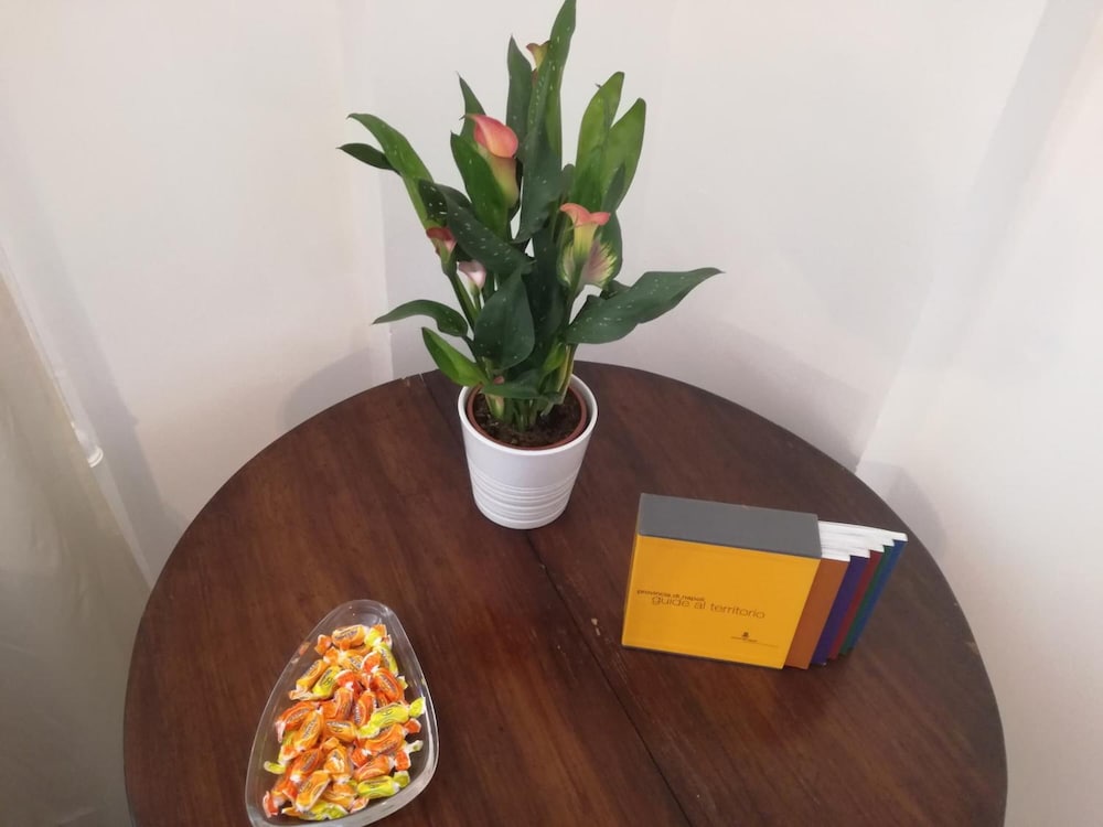 Фото Spira Mirabilis Napoli