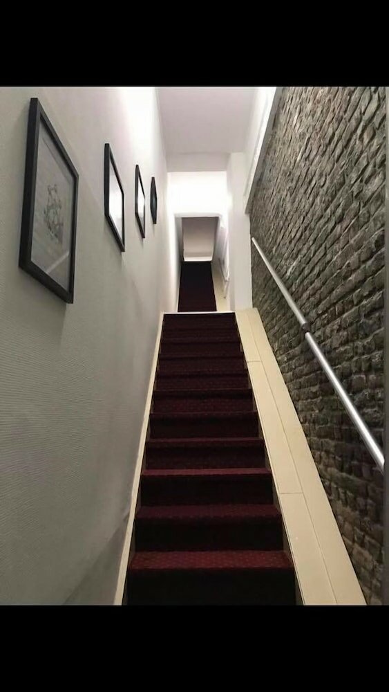 Фото The Hive Rooms