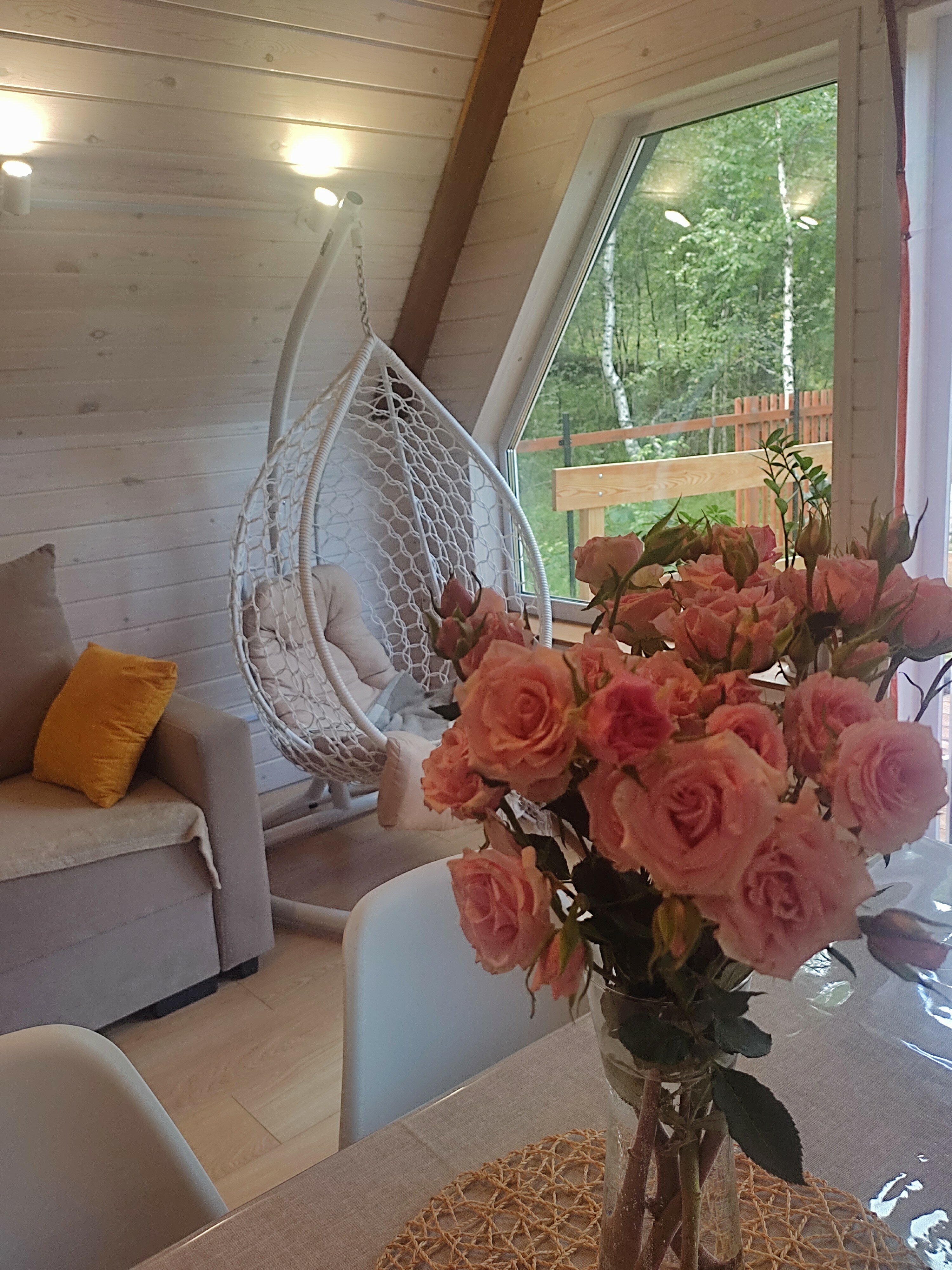 Фото Бурундуки