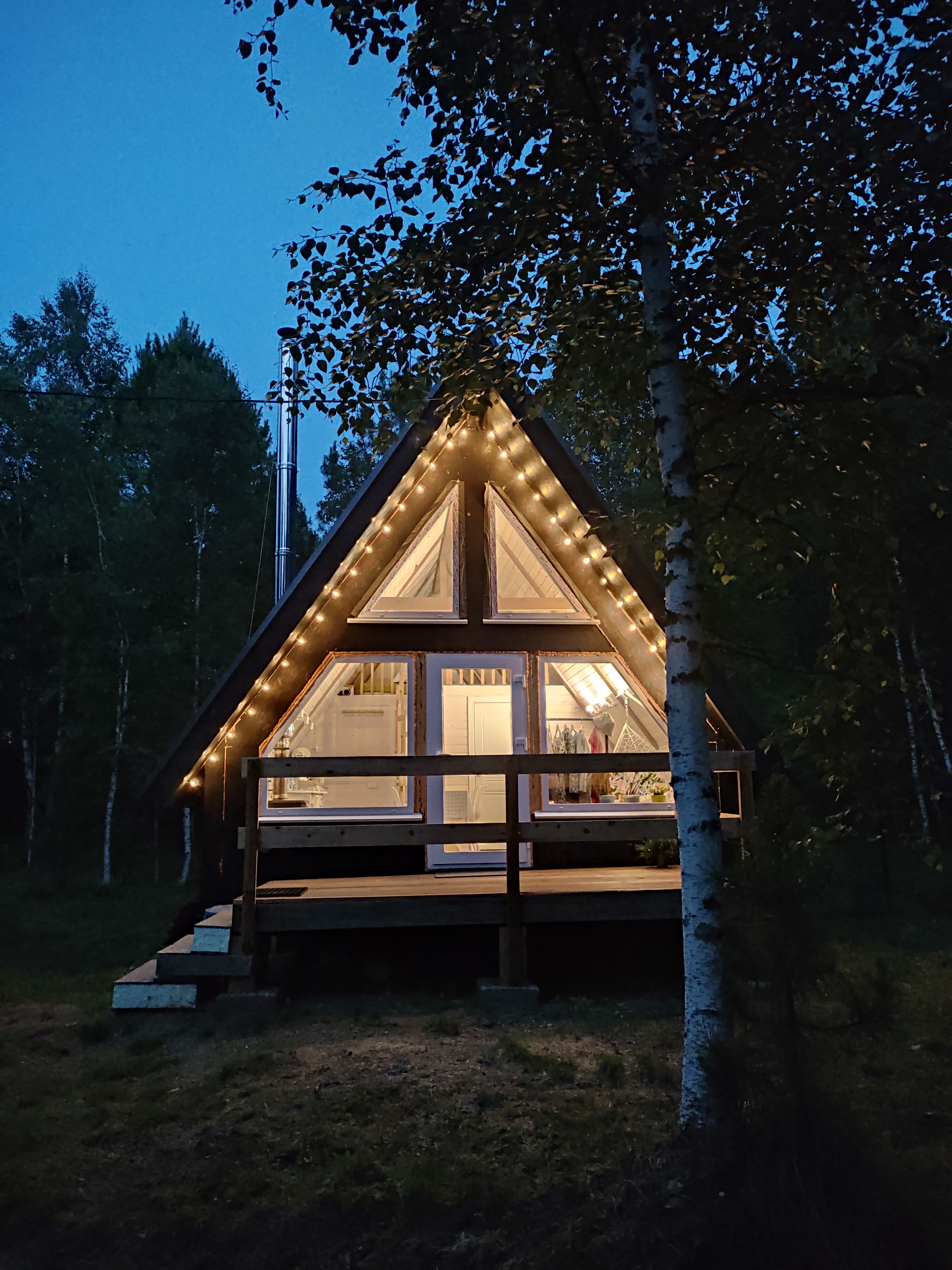 Фото Бурундуки