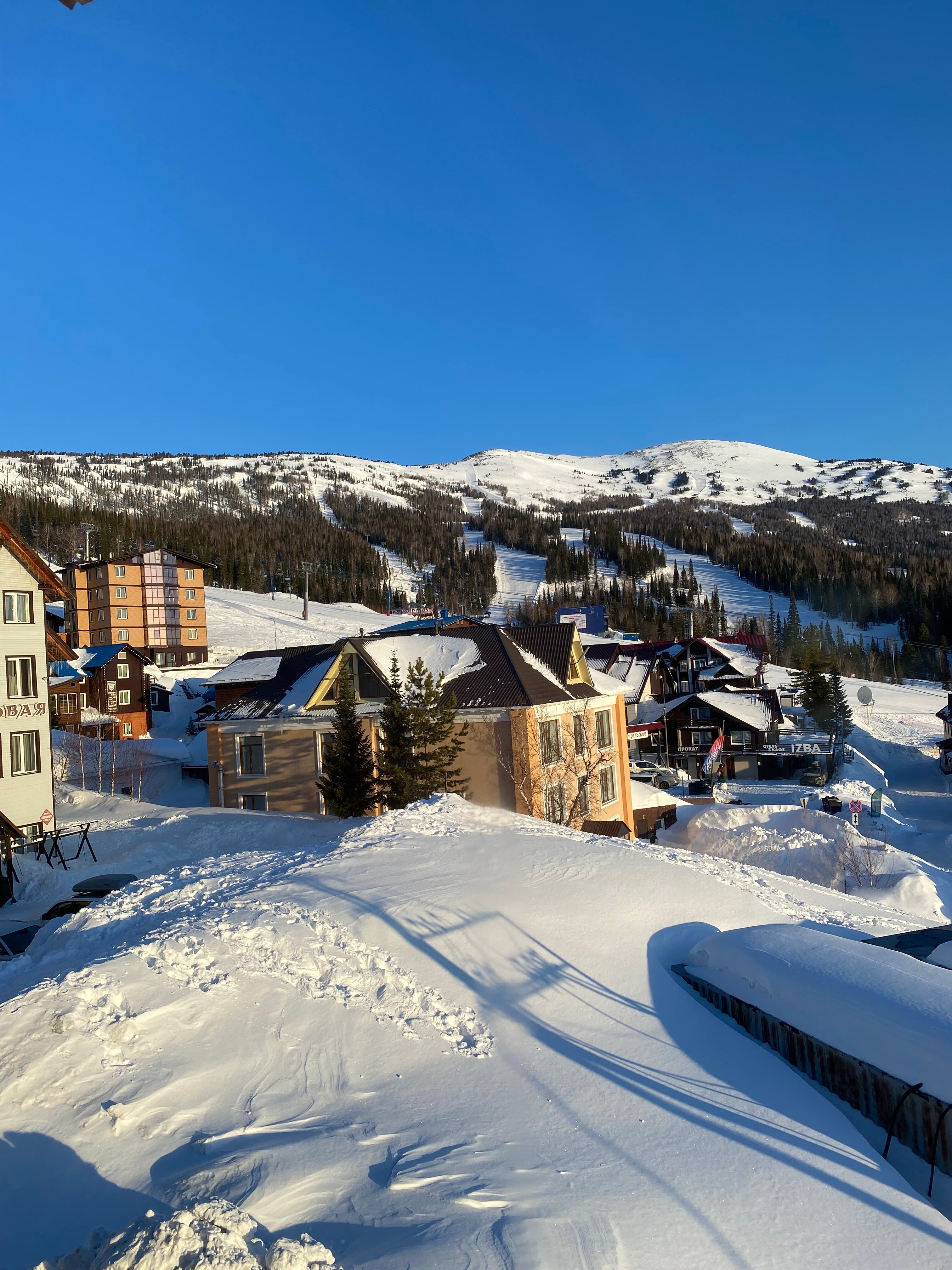 Фото Медведица