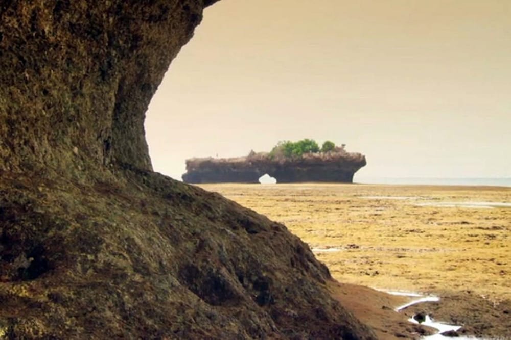 Фото Bazi's House