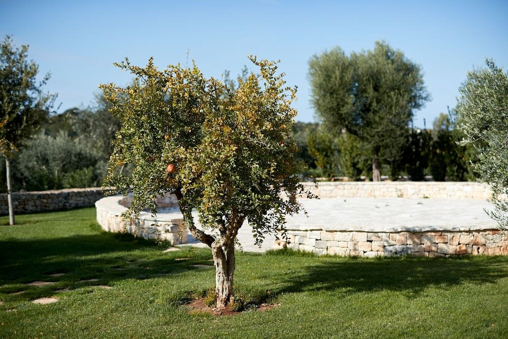 Фото Masseria Grieco