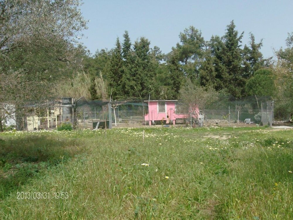 Фото The Olive Yard House