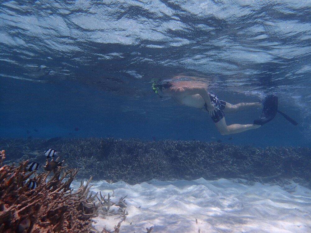 Фото Вилла Ostrov Beach