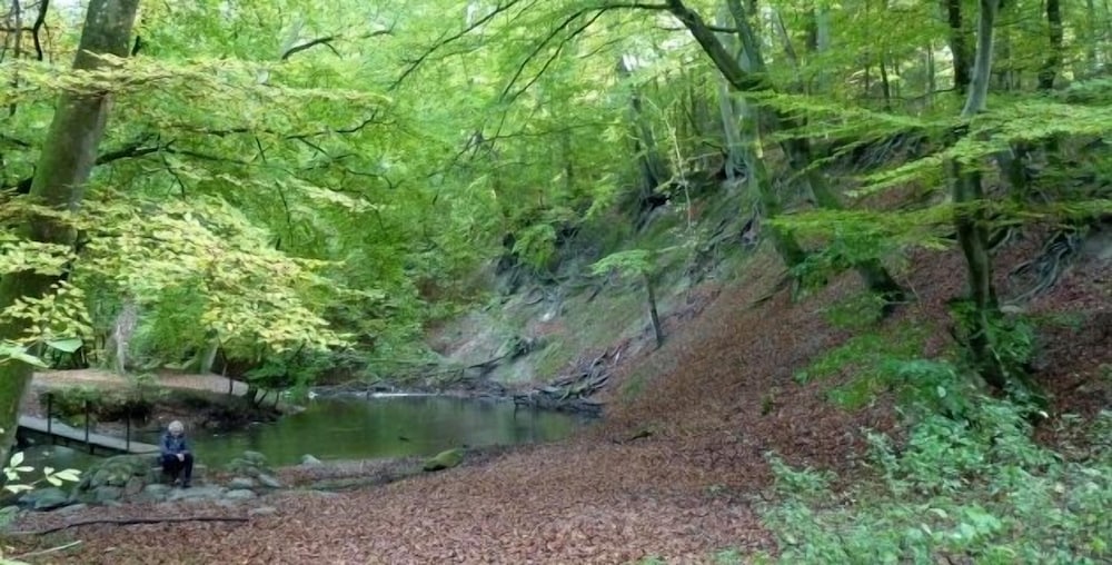 Фото Køge Bed and Kitchen-Apartment