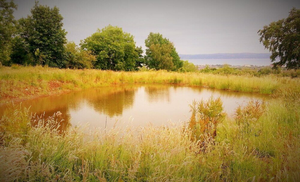 Фото Burleigh House