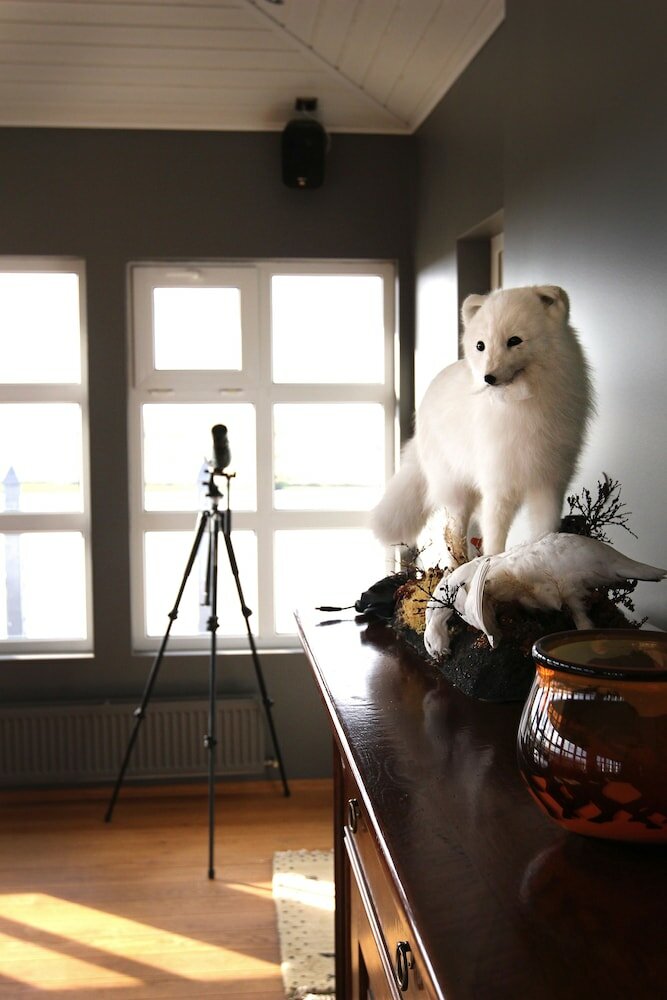 Фото Ármót Guesthouse