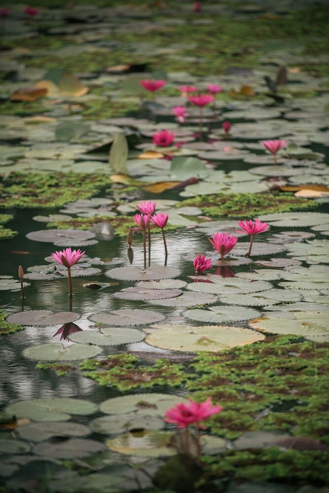 Фото Phubachiang Golf & Resort Pakse