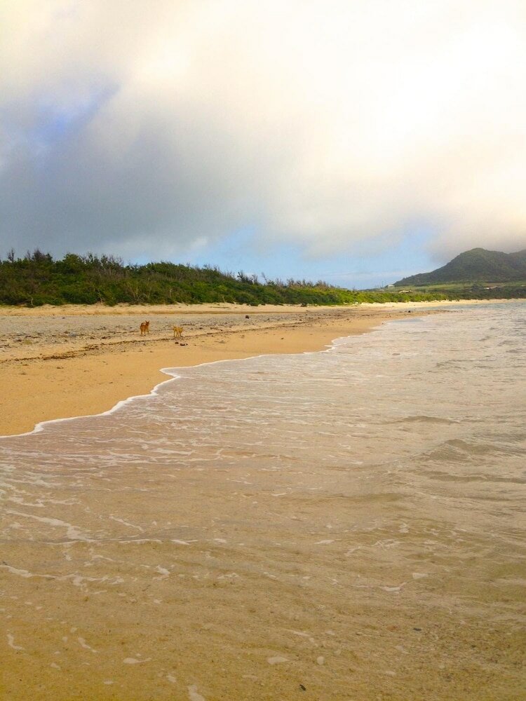 Фото Nata Beach Villa