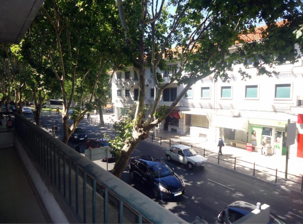 Фото Palm Guesthouse