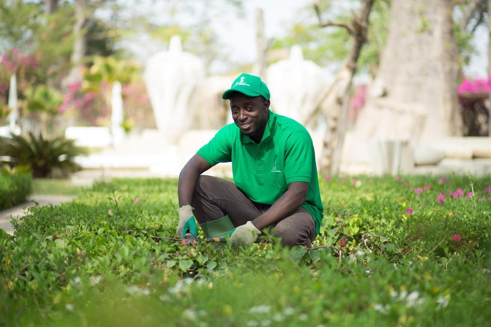 Фото Hotel Les Paletuviers