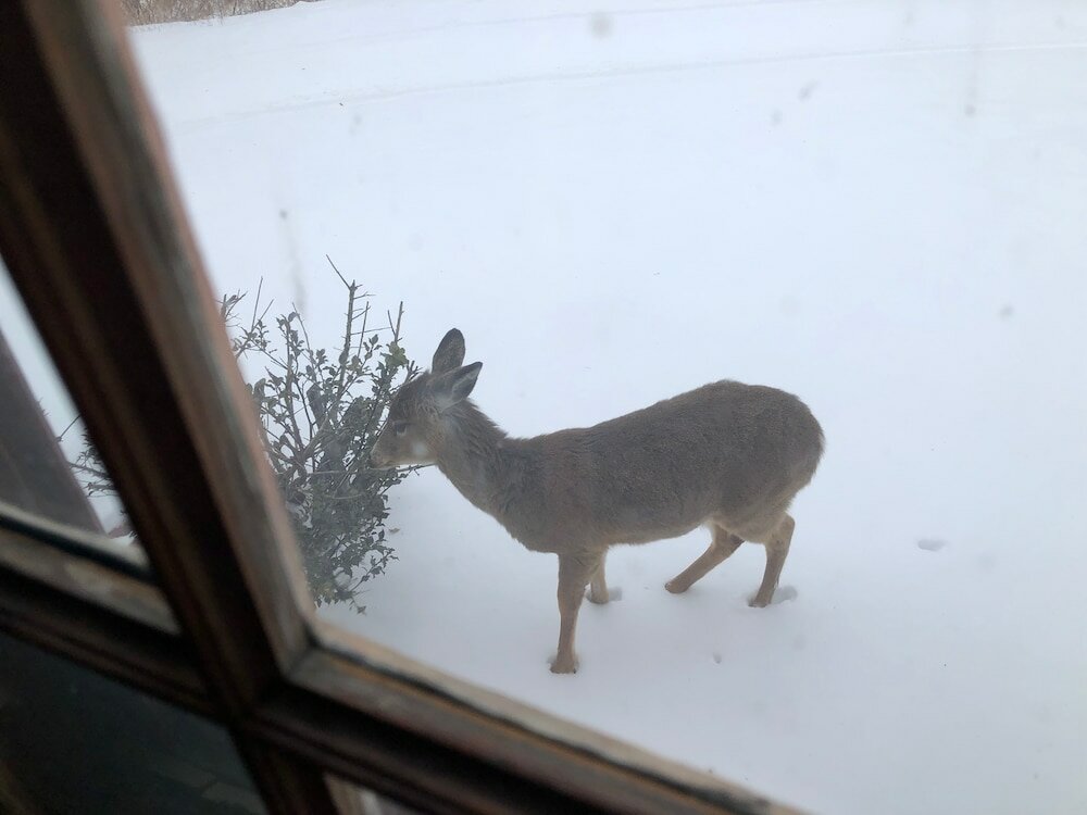 Фото 1735 Stone Farmhouse