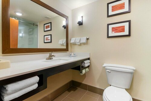 Гостиница Comfort Inn & Suites Macon West