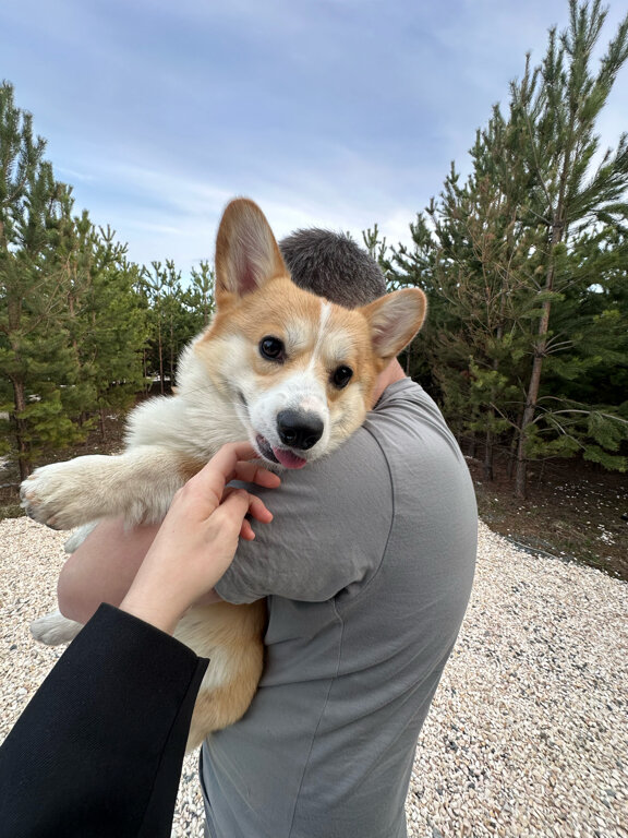 Фото BamBoo Village