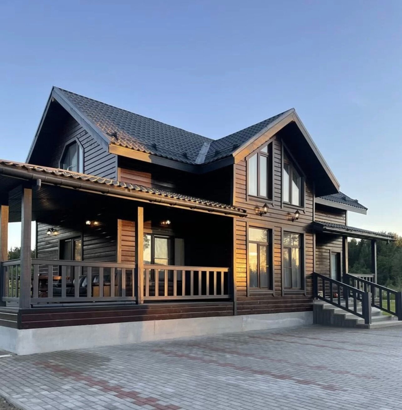 Фото Лесная Сова