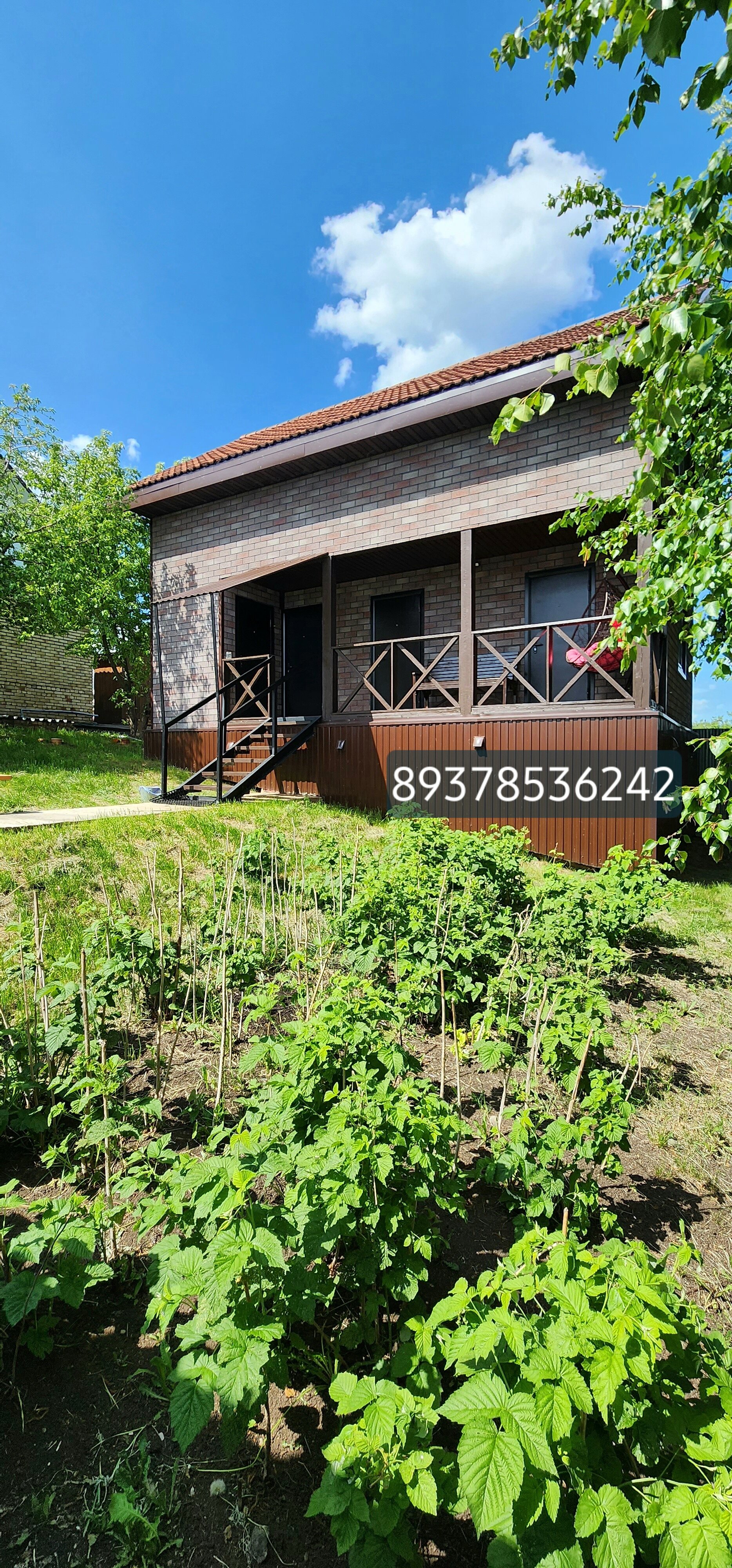 Фото Берёзка Кандрыкуль