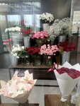 Angel Flower (Lipetsk, ulitsa Khrennikova, 6) ، محل زهور