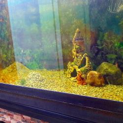 Фото На Бульваре