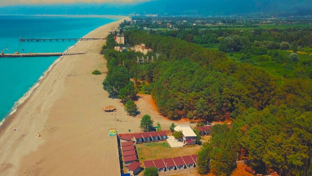 Фото Forest Club