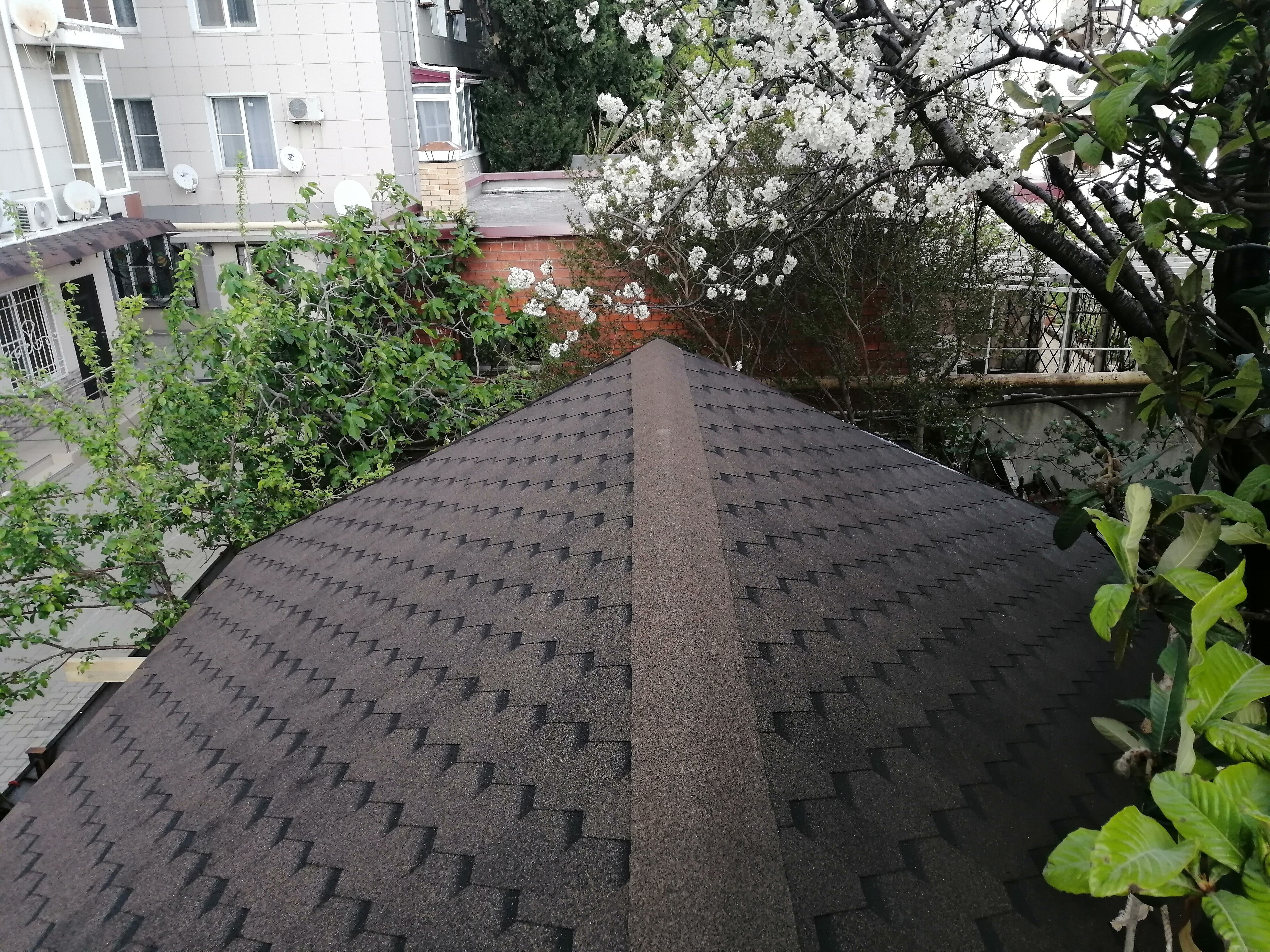 Фото Морской Штиль