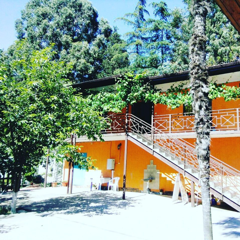 Фото Гостевой дом Фазенда