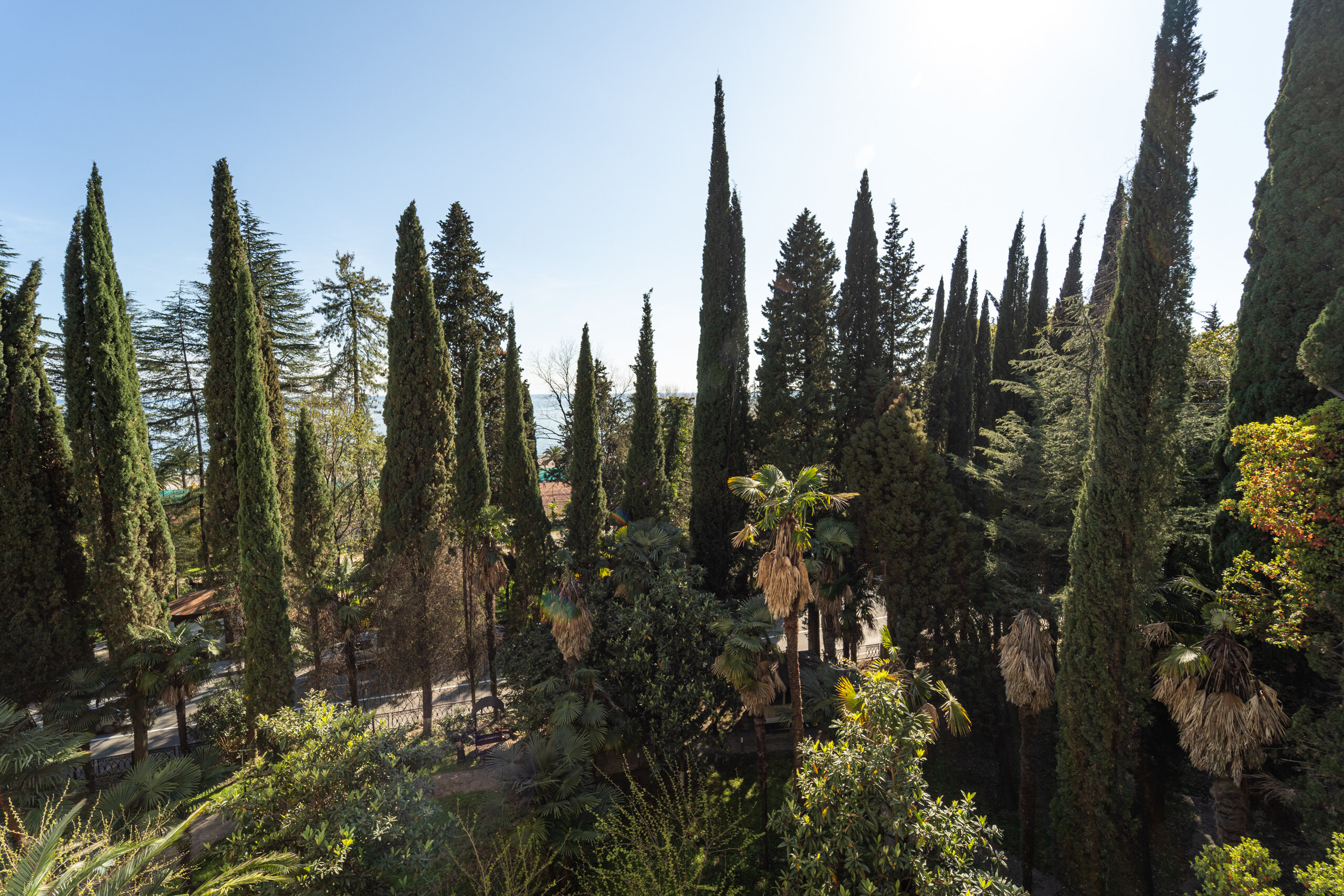 Фото Отель Villa Maria