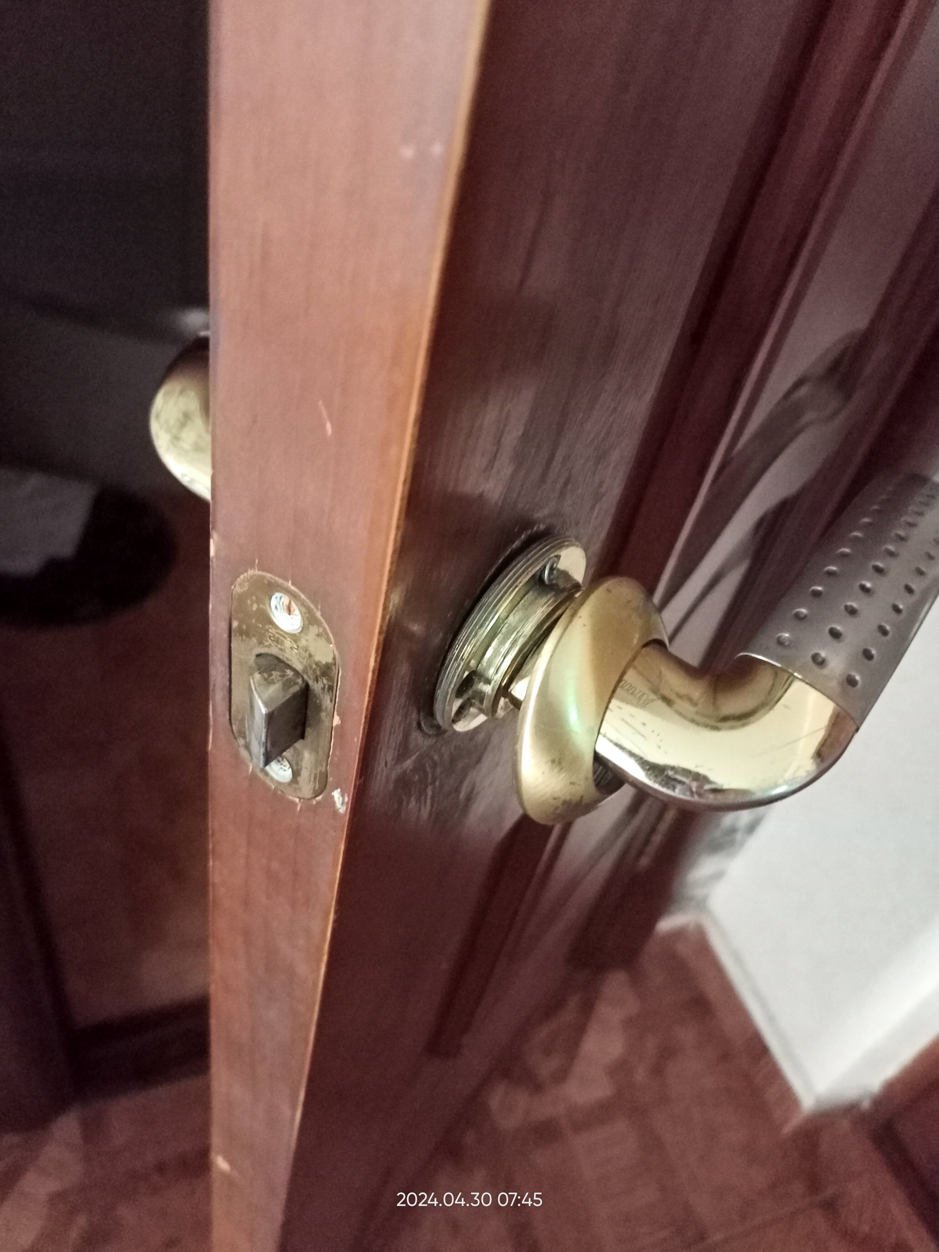 Фото Мартон Лион