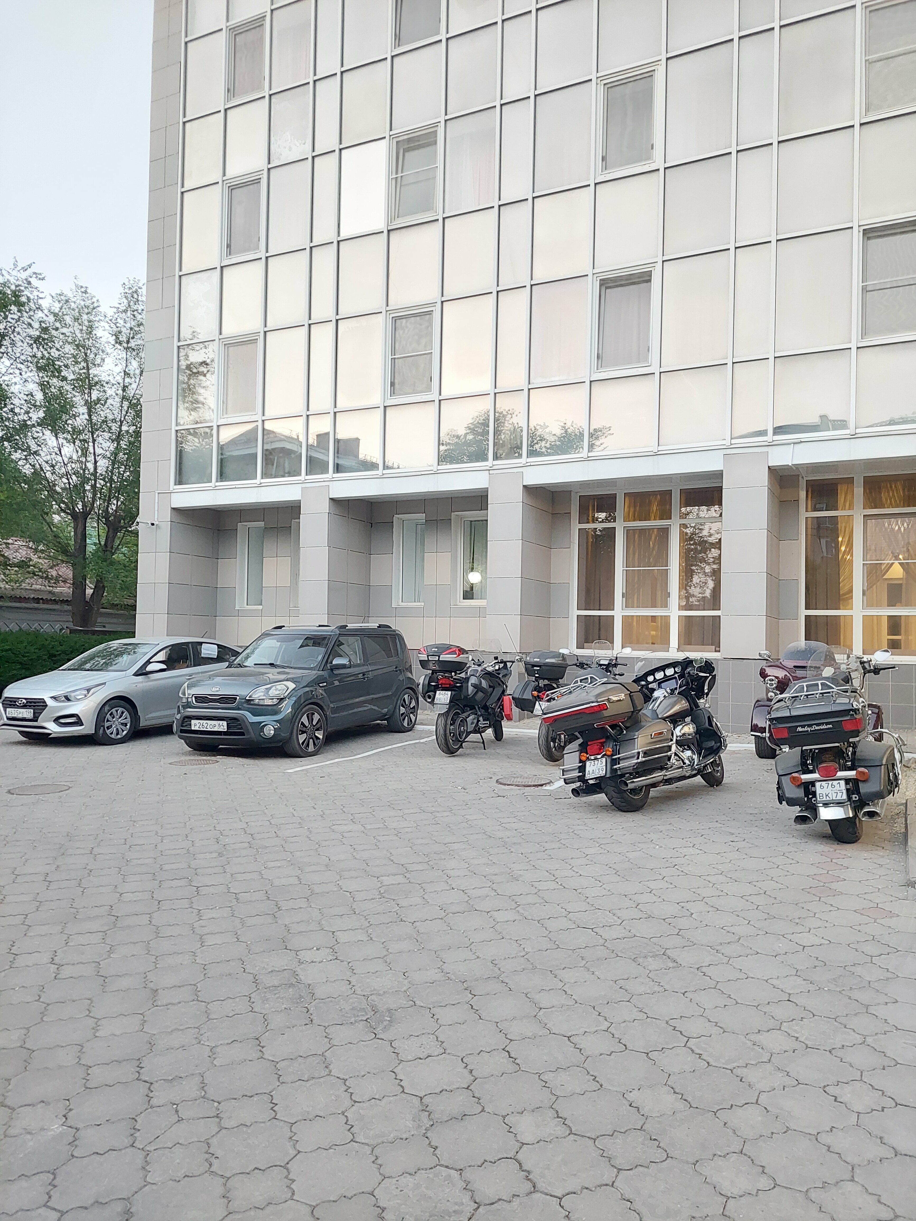 Фото Белый лотос