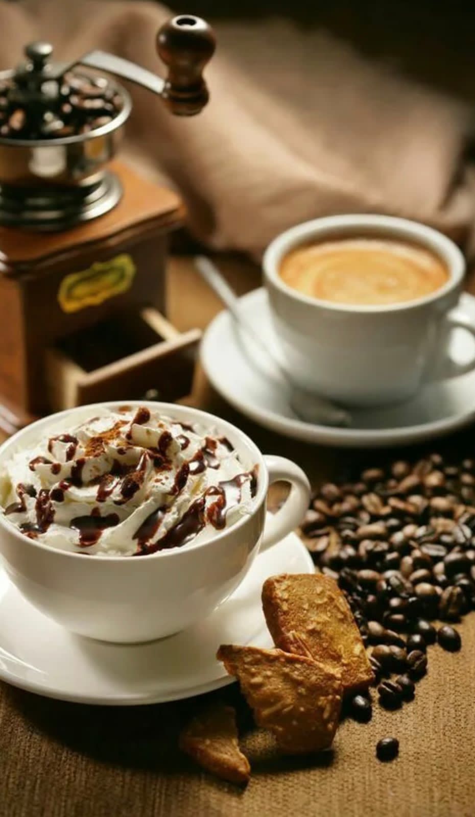 Фото У Моря