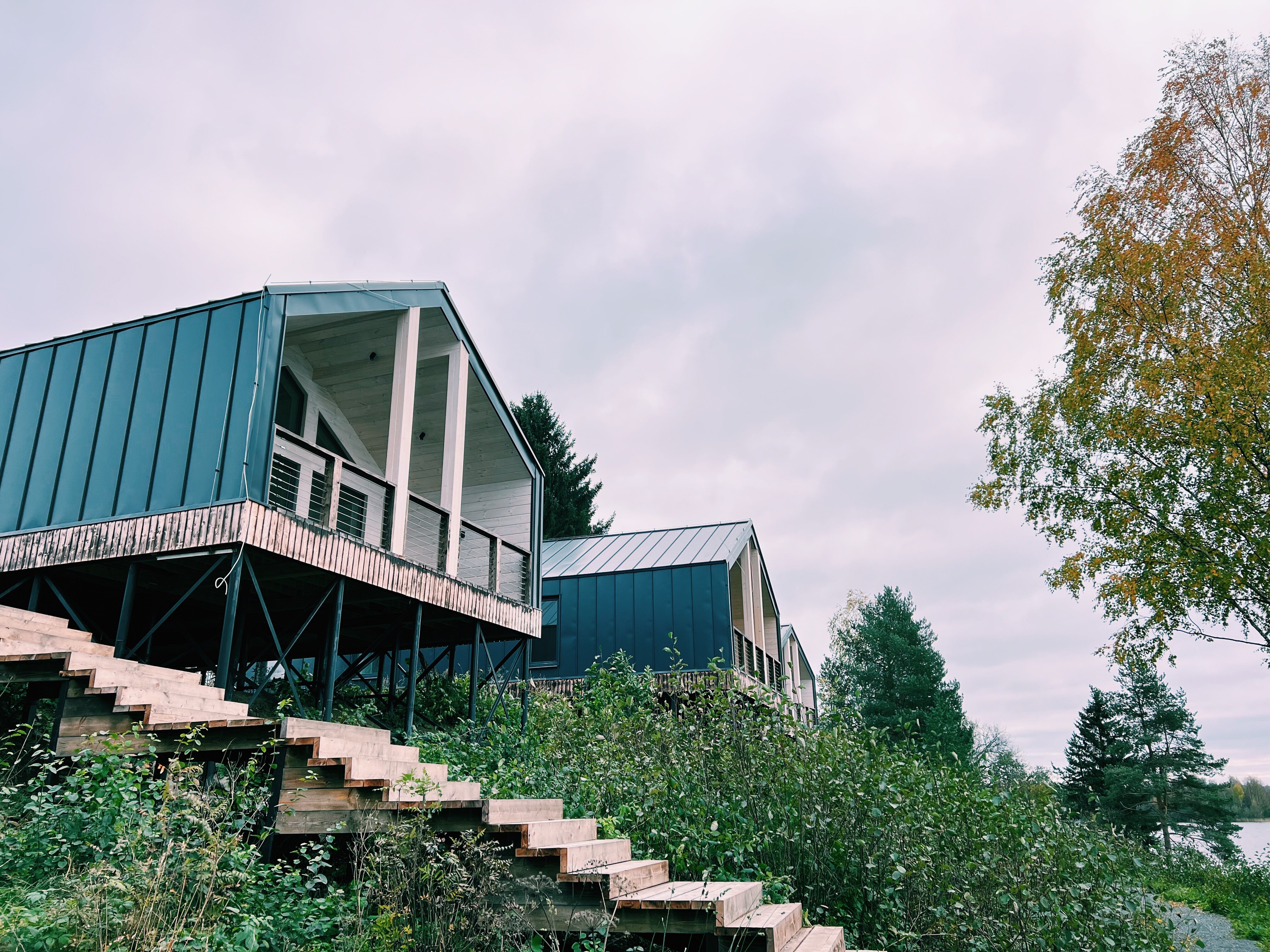 Фото Лунный свет