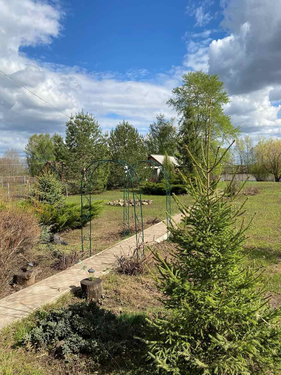 Фото Елховый берег