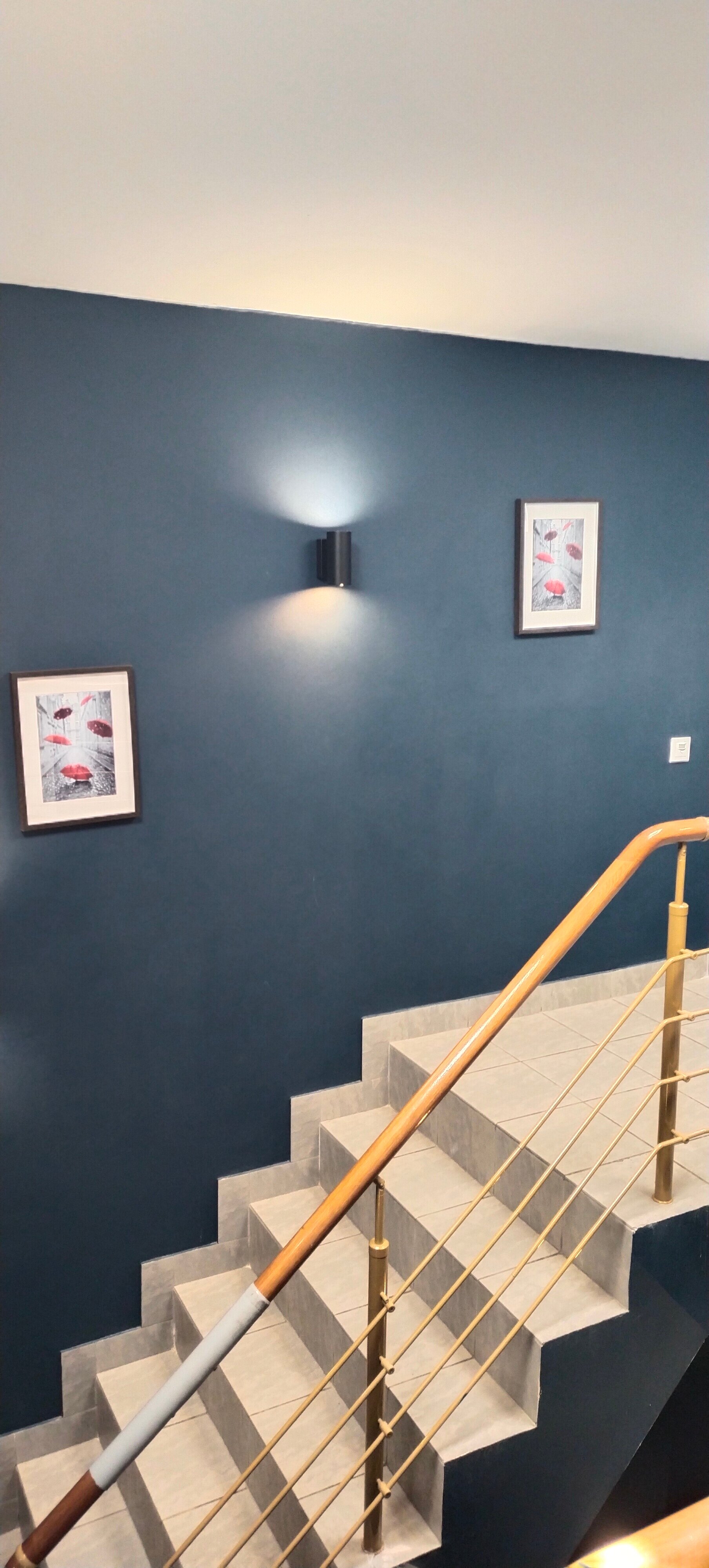 Фото Simple Эдельвейс