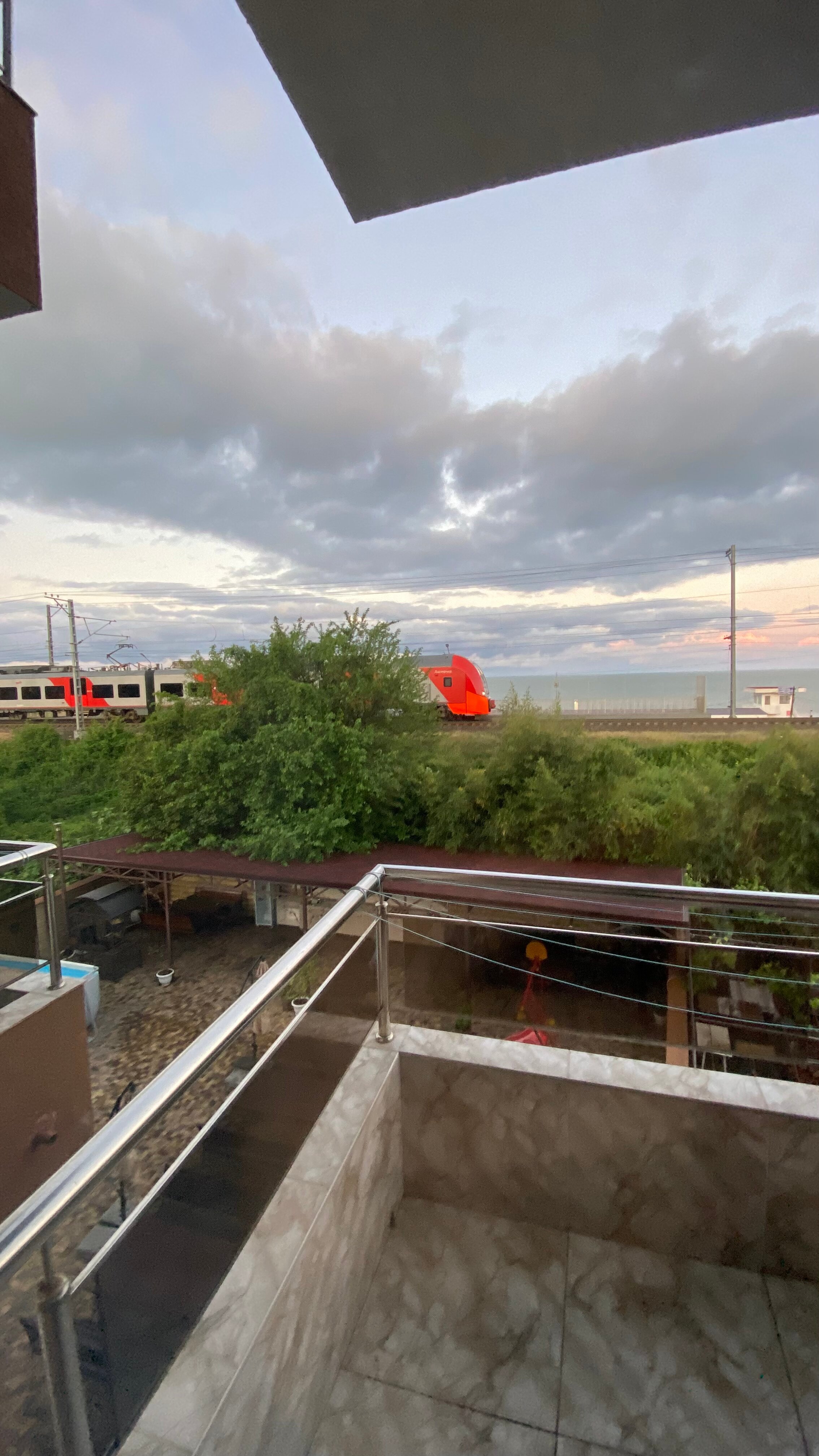 Фото Роза Ветров