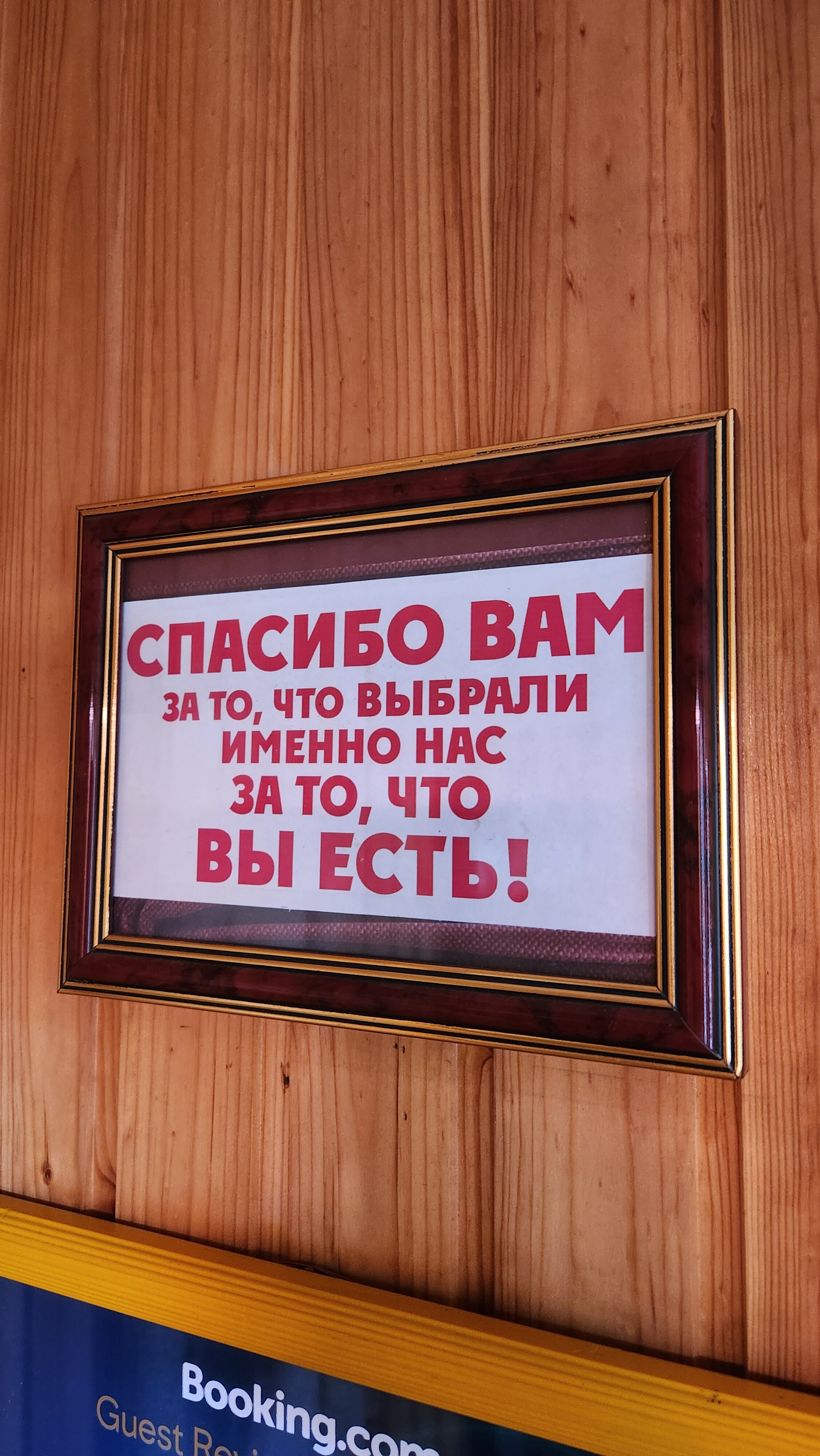 Фото Звезда