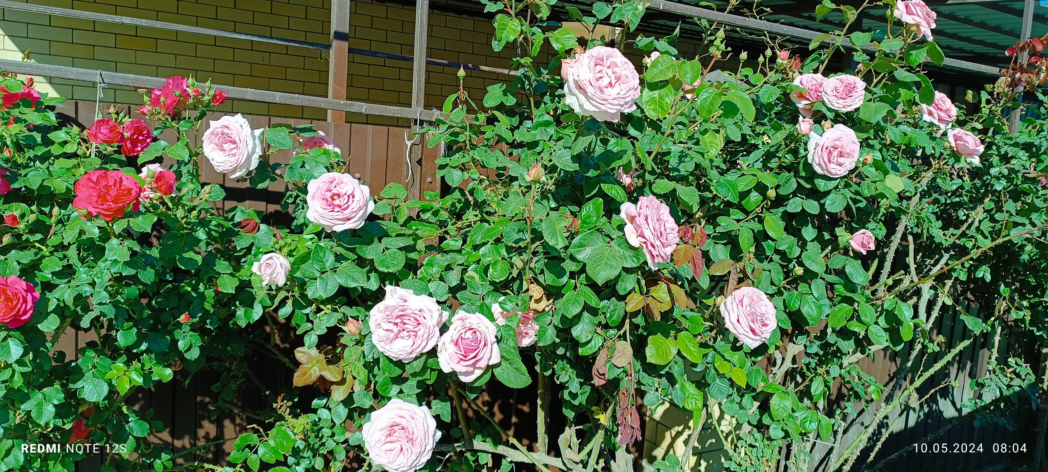 Фото Антипов