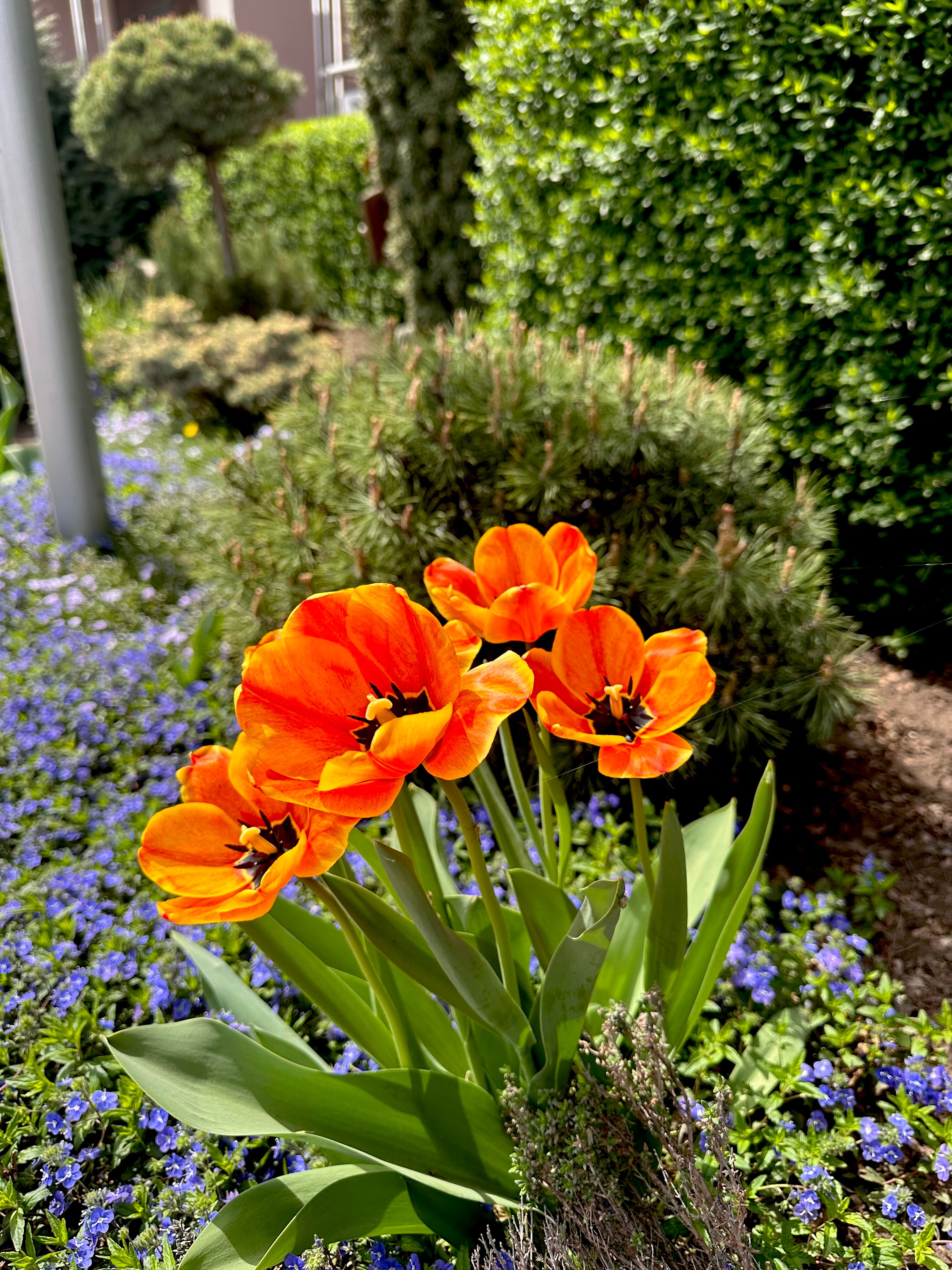 Фото Diamond Park Hotel