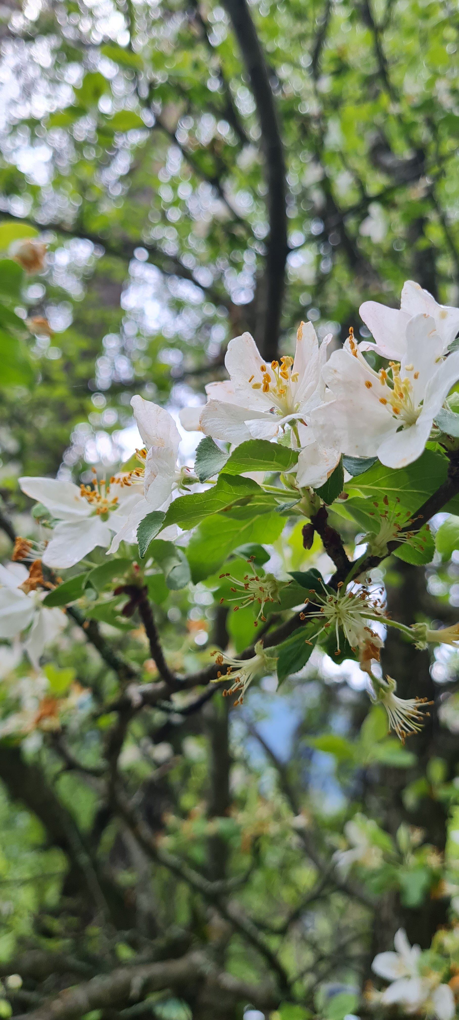 Фото Архыз и точка