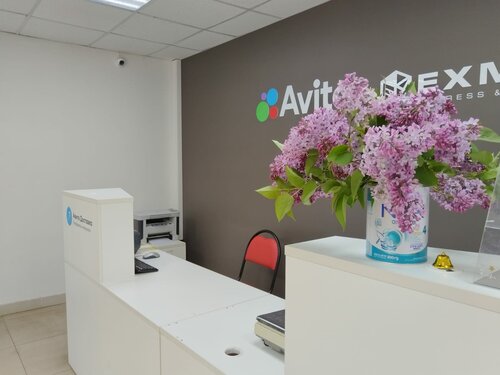 Xola siyish porno filmlar