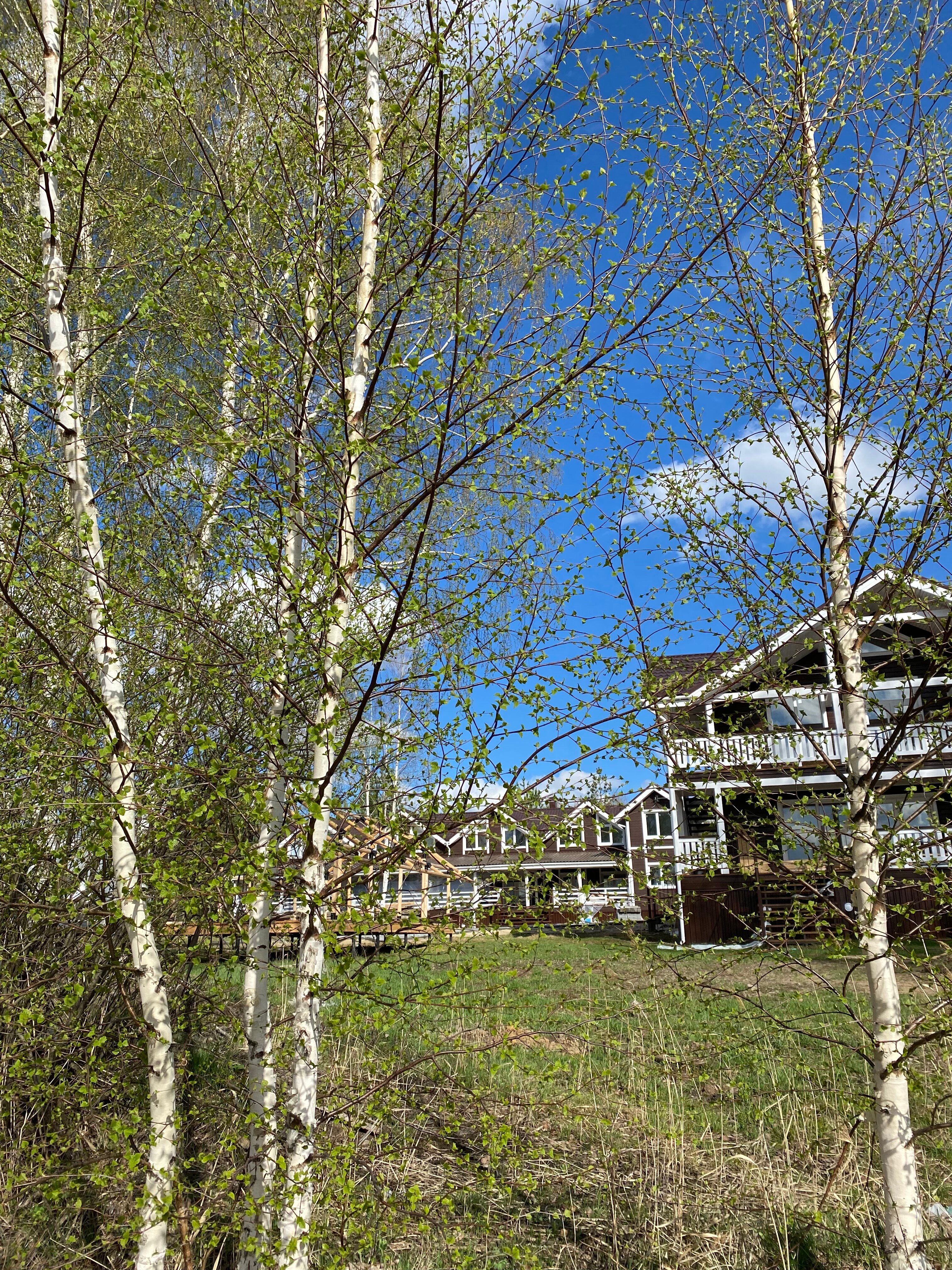 Фото Тосканка